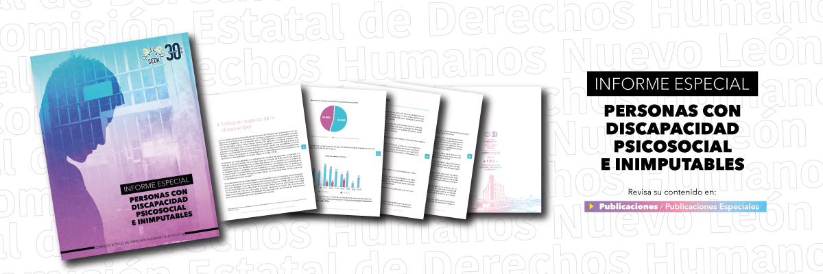 Informe Especial Personas con Discapacidad Psicosocial e Inimputables