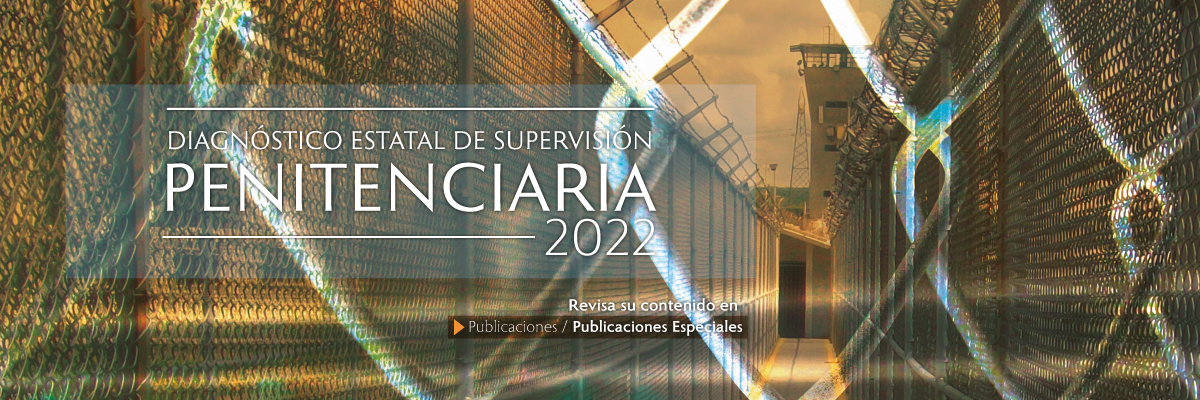 Diagnóstico Estatal de Supervisión Penitenciaria 2022