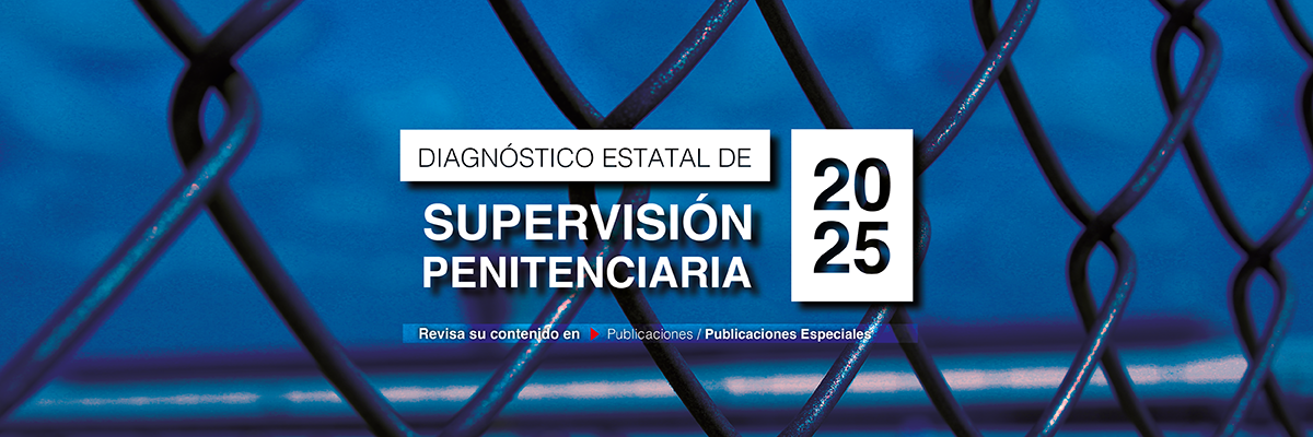 Diagnóstico Estatal de Supervisión Penitenciaria 2025