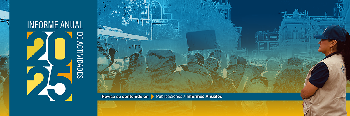 Informe Anual de Actividades 2025