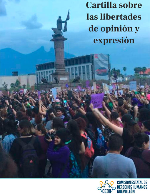 Cartilla sobre las libertades de opinión y expresión