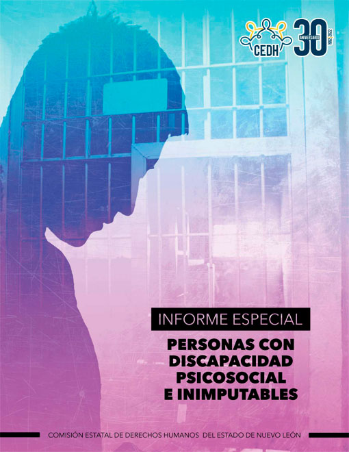 Informe Especial Personas con Discapacidad Psicosocial e Inimputables